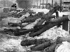 Historic image from the Progress and Pain 1970-1979 page