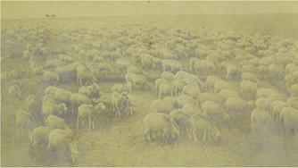 Historic image from the Albert Lanterman (1856-1937) page