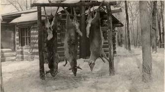 Historic image from the Frank Edward Bunting (1864-1947) page
