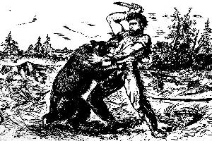 Historic image from the Frederic Francis Gerard (1829-1913) page