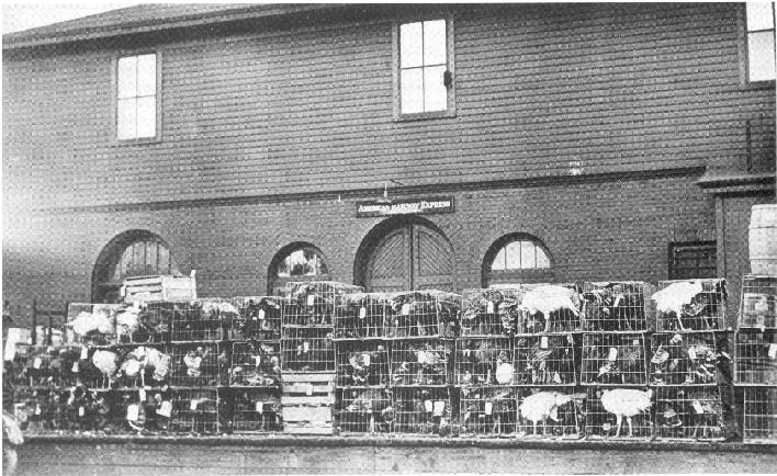 Historic image from the Hoy Sylvester Russell (1886-1958) page