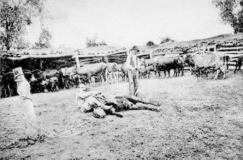 Historic image from the John F. Sullivan I (1884-1950) page